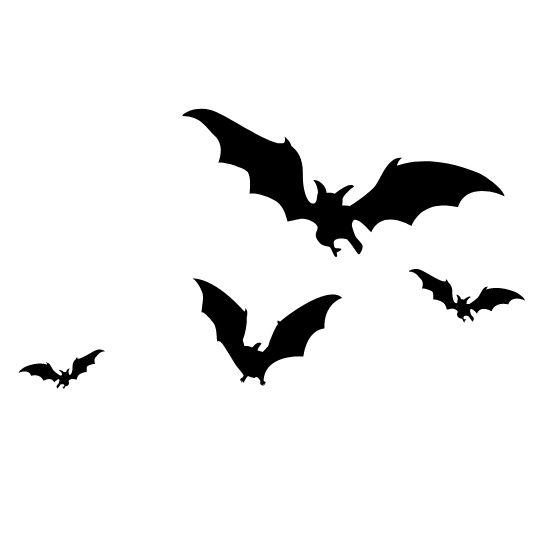 Bat