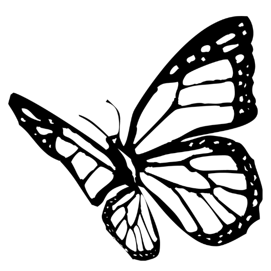 Invertebrate