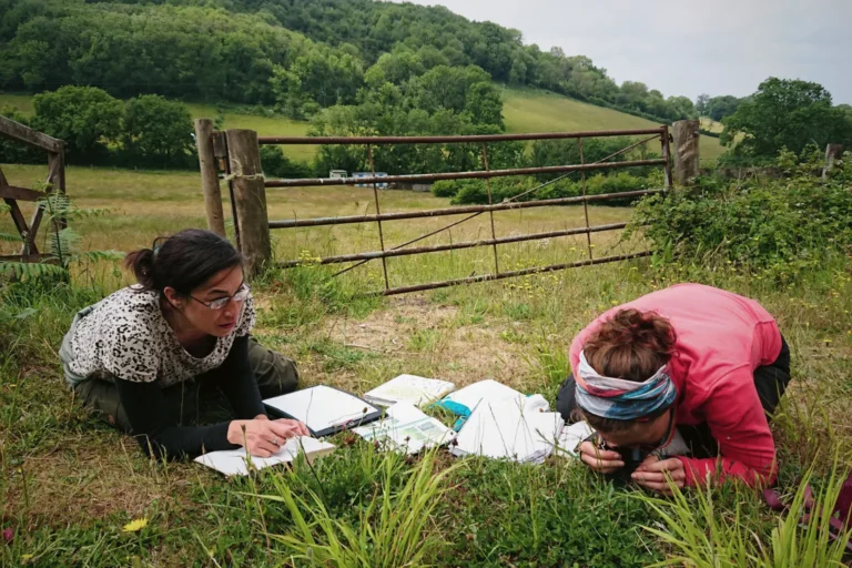 Ethos team conducting ecological survey in grassland field