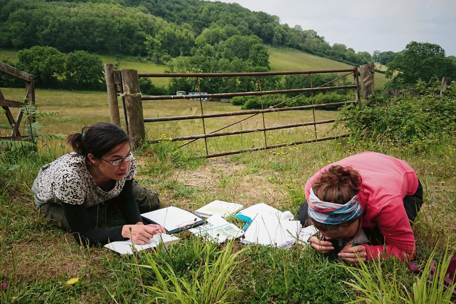 Ethos team conducting ecological survey in grassland field