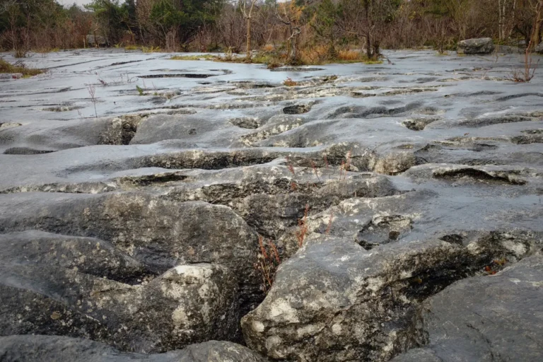 Limestone pavement rock formation with natural fissures and weathered surface