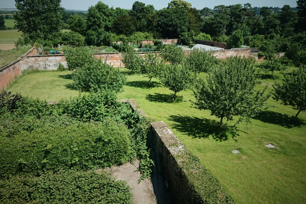 Walled garden with orchard trees and managed green space landscape