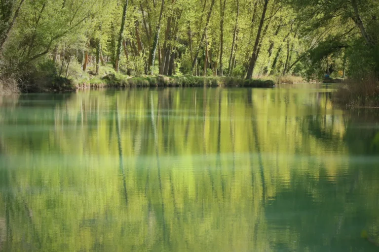 Still river reflecting green trees along the bank in soft light