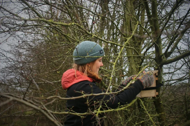 Close-up of someone installing a birdhouse among tree branches