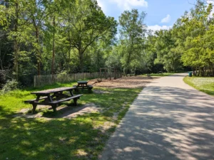 Park pathway with picnic benches and playground surrounded by trees