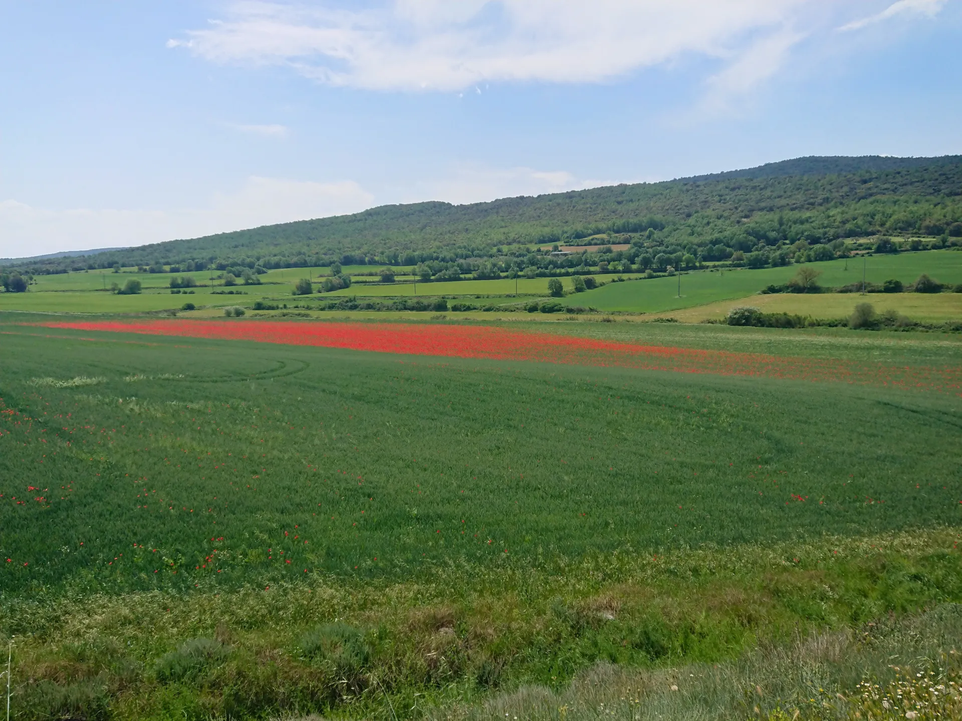 rural landscape showing open farmland fields with rolling hills and tree-lined countryside in the distance
