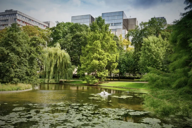 City park with pond, trees, and modern buildings in background